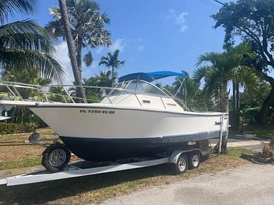 BOATZON | Shamrock 22 Predator 1997