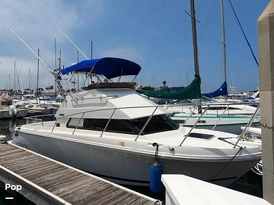 BOATZON | Skipjack Flybridge 262 BOATZON | Skipjack Flybridge 262