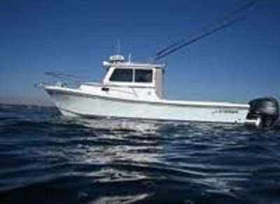 BOATZON | Steiger Craft 255 Miami 2026