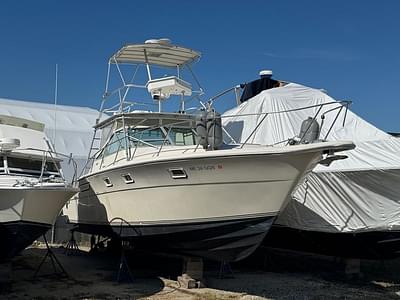 BOATZON | TIARA 36 OPEN 1986