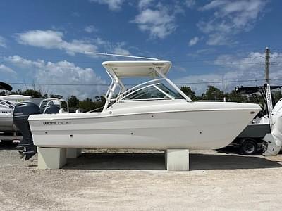 BOATZON | World Cat 230 DC 2023 BOATZON | World Cat 230 DC 2023