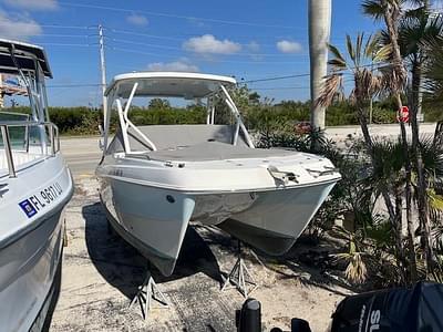 BOATZON | World Cat 230 SD 2023 BOATZON | World Cat 230 SD 2023