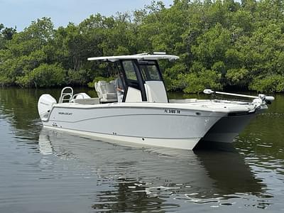 BOATZON | World Cat 260CCX 2023