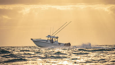 BOATZON | Yellowfin 34 Offshore 2025