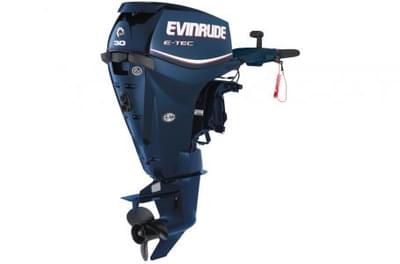 BOATZON | Evinrude E30DTELIS 2010