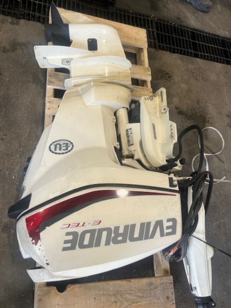 2018  Evinrude ETEC 25 HP E25DTSL White 2018 - Sold Boat