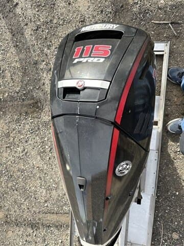 BOATZON | Mercury 1117F531D 115HP 2018