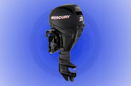 2008  Mercury 25EL 4S EFI 2008 - Sold Boat