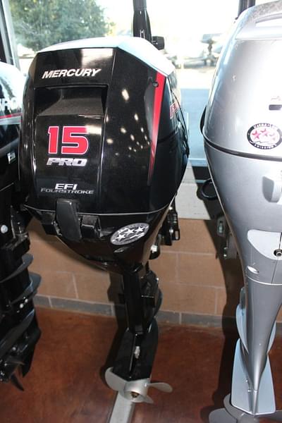 BOATZON | Mercury Marine® 15 EFI ELHPT ProKicker 2019