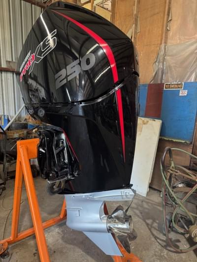 BOATZON | Mercury Marine® 250 Pro XS 2023