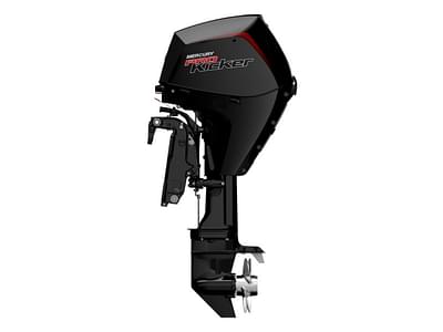 BOATZON | Mercury Marine® FourStroke 15 hp EFI ProKicker 2023