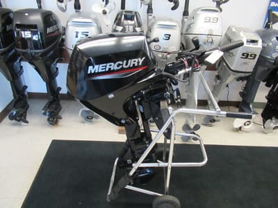 BOATZON | Mercury Marine® FourStroke 20 EFI 2022