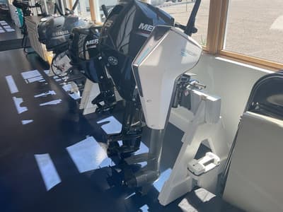 BOATZON | Mercury Marine® Mercury Avator 75e 2025