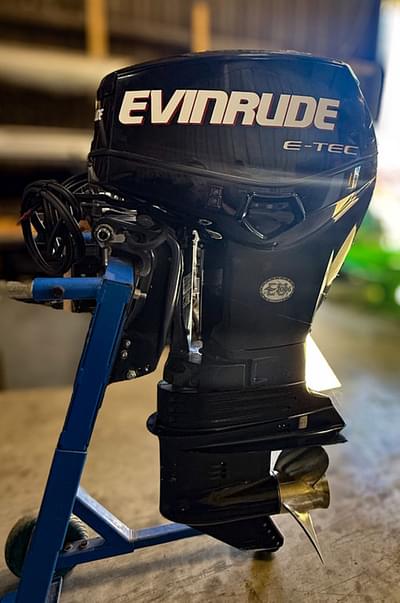 BOATZON | Evinrude E50DPLSUM 2007