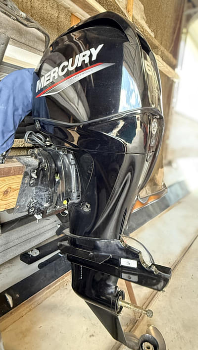 BOATZON | Mercury Marine® FourStroke 60 ELPT 2020
