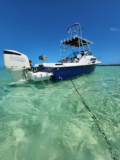 BOATZON | 1984 Wellcraft 248 Sportsman