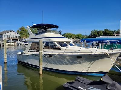 BOATZON | 1988 Tollycraft 34 Sport Sedan