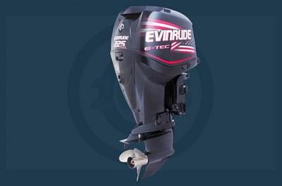 BOATZON | 2006 Evinrude E200DHLSD