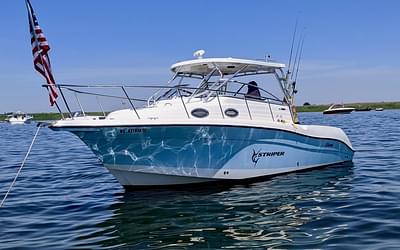 BOATZON | 2007 Seaswirl 2901 Striper