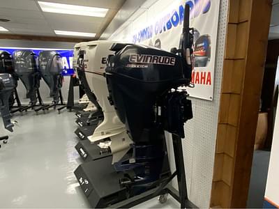 BOATZON | 2010 Evinrude E30DTL Tiller 15 Shaft