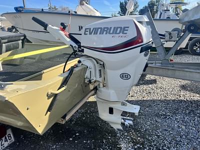 BOATZON | 2016 Evinrude E25DSLR