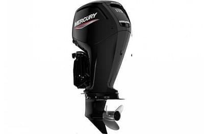 BOATZON | 2022 Mercury FourStroke 115 HP 21L L4 25 Shaft