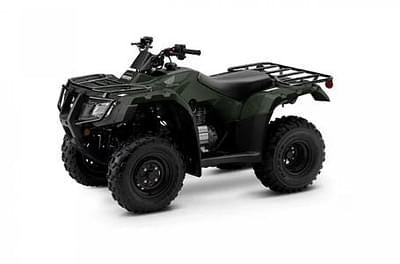 BOATZON | 2024 Honda FourTrax Recon Base