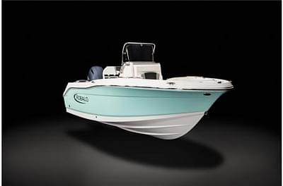 BOATZON | 2024 Robalo R180