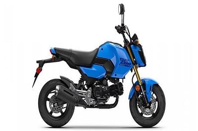 BOATZON | 2025 Honda Grom