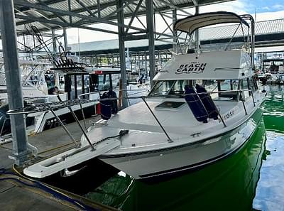 BOATZON | Bayliner 2850 Contessa 1985