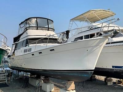 BOATZON | Bayliner 3870 Motoryacht 1985