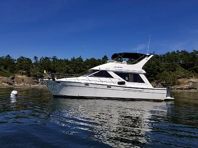 BOATZON | Bayliner 3988 Motoryacht w THRUSTER 1999