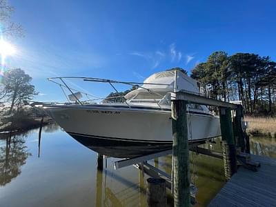 BOATZON | Bertram 28 Flybridge CRUISER 1973