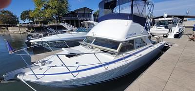 BOATZON | Bertram 280 Fly 1981