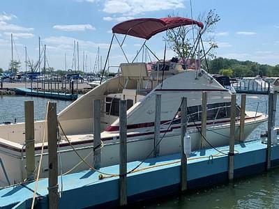 BOATZON | Bertram 30 Flybridge Cruiser