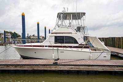 BOATZON | Bertram 33 Sport Fisherman 1984