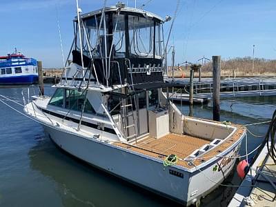 BOATZON | Bertram 35 Flybridge 1978