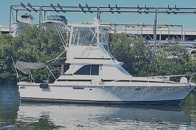 BOATZON | Bertram 35 sport fisherman 1979