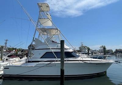 BOATZON | Bertram 37 Convertible 1987