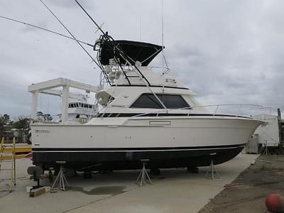 BOATZON | Bertram 37 Convertible 1988