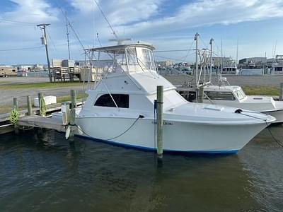 BOATZON | Bertram 38 Convertible 1985