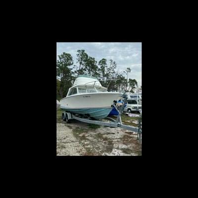 BOATZON | Bertram Flybridge 1972 BOATZON | Bertram Flybridge 1972