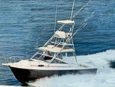 BOATZON | Blackfin 29 Combi 1992