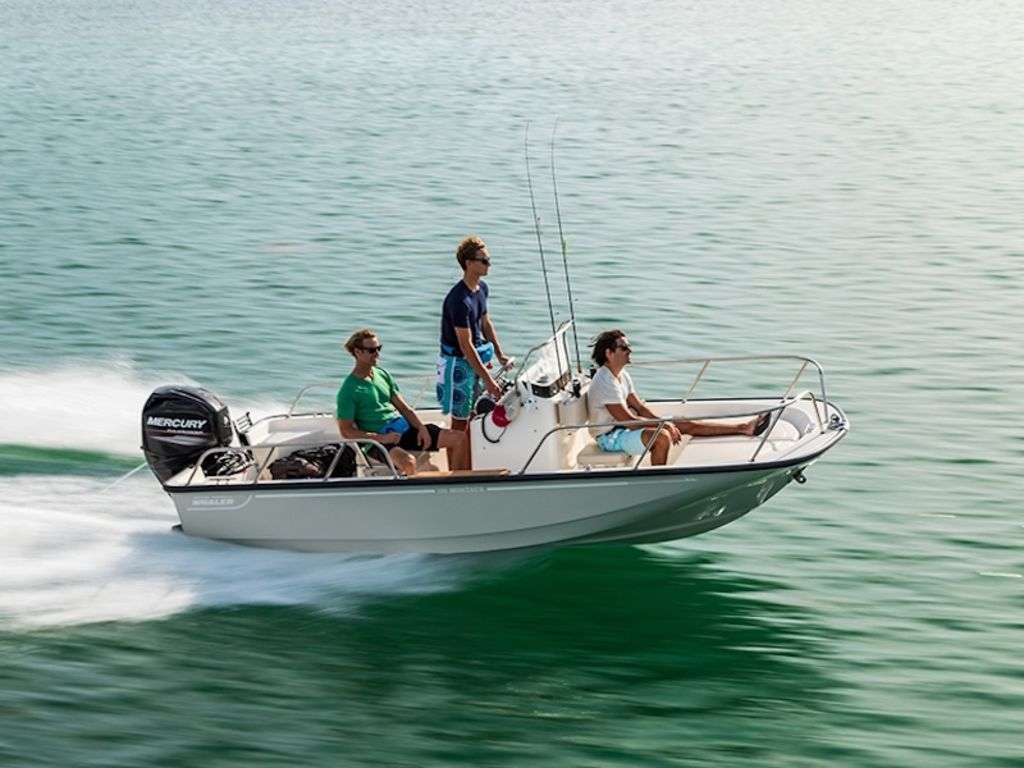 2025 Boston Whaler 150 Montauk - Sold Boat