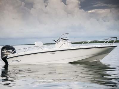 BOATZON | Boston Whaler 170 Dauntless 2015