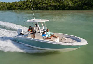 BOATZON | Boston Whaler 250 Dauntless 2024