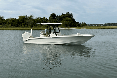 BOATZON | Boston Whaler 250 Dauntless 2025