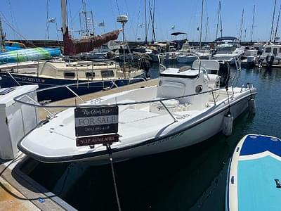 BOATZON | Boston Whaler Dauntless 2009