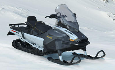 BOATZON | BRP SKI-DOO Skandic LE 20 900A Electric Start Gray 2025