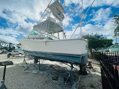 BOATZON | Cabo 31 Express with Tower 1998